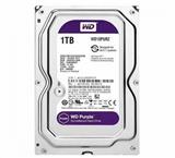 DD-WD-1TBPURZ-DISCO DURO INTERNO WESTERN WD10PURZ 1 TB EXCLUSIVO DVR CCTV 3.5