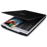 EPS-SCA-V19-ESCANER EPSON PERFECTION V19 4800 X 4800 DPI
