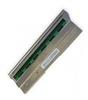 CABEZA DE IMPRESION P/CL-S300/321 203 dpi *SP*-Citizen